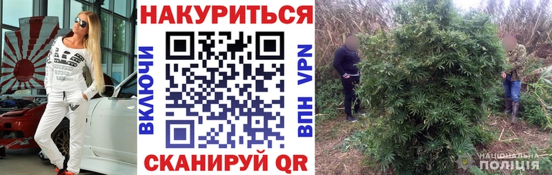 Купить закладку ГАШ  Амфетамин  Кокаин  Мефедрон  Конопля  Сертолово