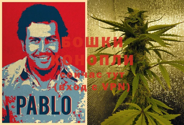 apvp Сясьстрой