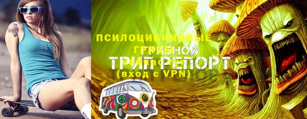 спайс Тайга