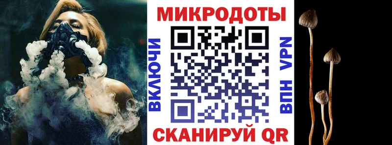 Купить закладки  Сертолово  Псилоцибиновые грибы мицелий 