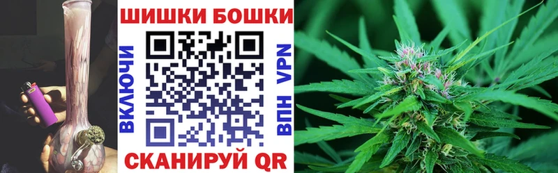 Купить где  Сертолово  Каннабис Amnesia 